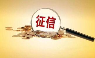 征信服務收費標準下調近50% 激發(fā)社會經(jīng)濟咨詢新活力